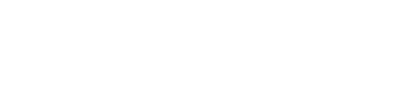 Henzgen & Schommer consult GmbH